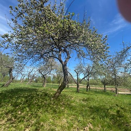 Swietokrzyski Klimacik Bodzentyn Exterior foto
