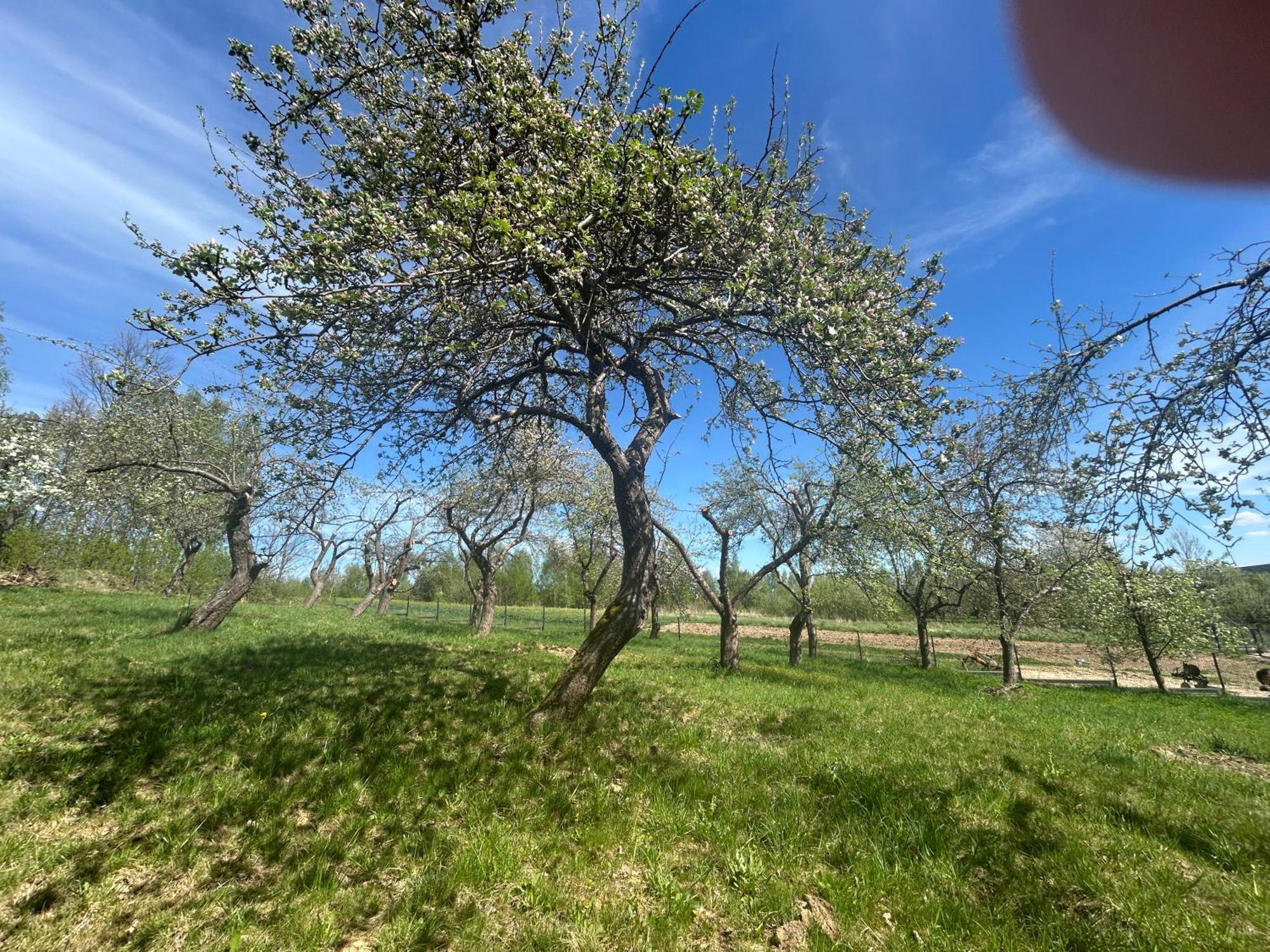 Swietokrzyski Klimacik Bodzentyn Exterior foto